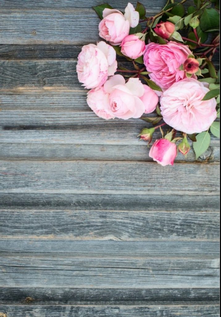 خلفيات تصوير احترافي