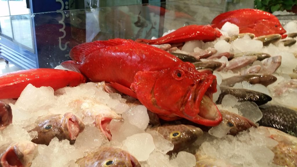 مطعم مأكولات بحرية الدمام